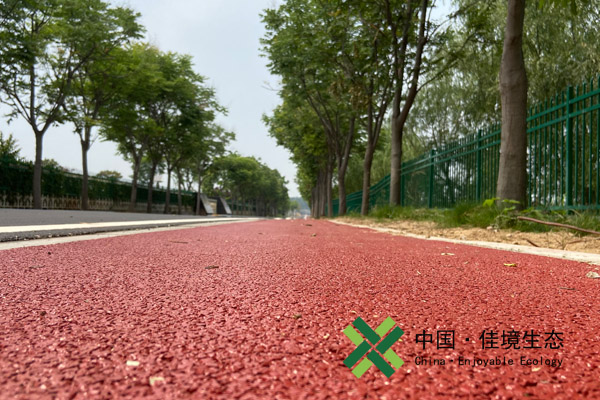 徐州大沙河彩色188金宝慱亚洲体育路面+沥青路面 
